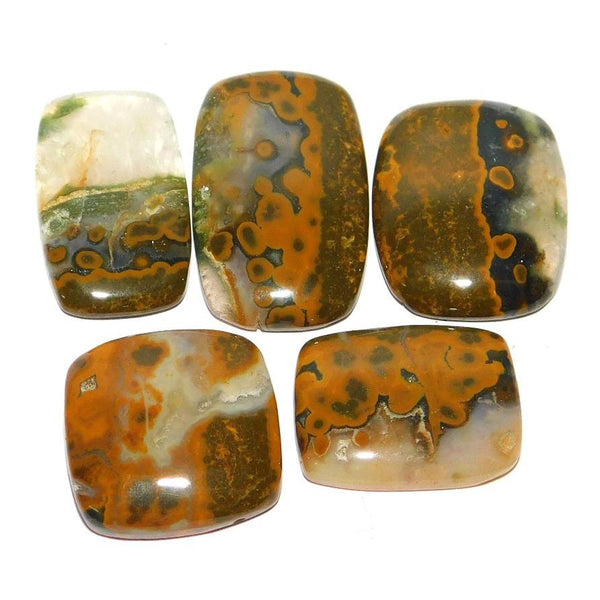 Healing Crystals - Fossil Coral Cabochon Wholesale