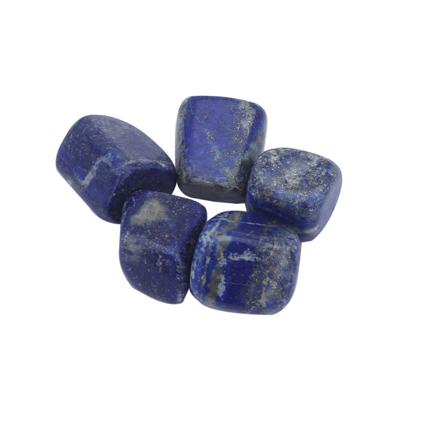 Healing Crystals - Lapis Lazuli Tumble Wholesale